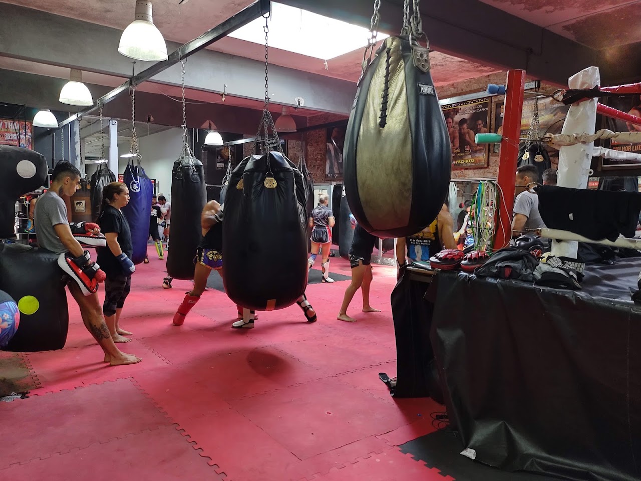 Entrenamiento en Gimnasio White Lion
