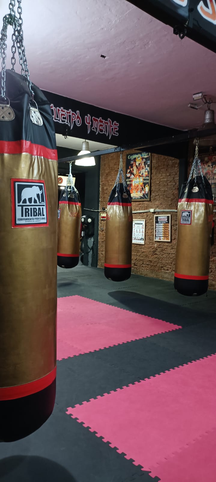 Sector de bolsas de boxeo